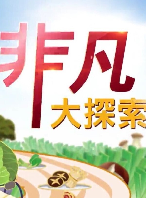 神级巨乳 全身精油后入爆操，潮吹喷尿 - 性探索